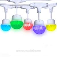 WIFI Smart RGB LED String Light DC24V 20PCS Bulb 30W APP Control Music Rhythm Garden Party LED Light IP65 Waterproof